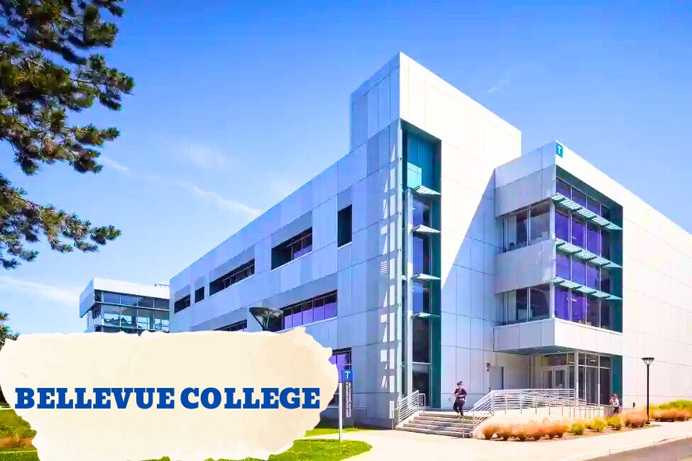 DU HỌC MỸ DỄ DÀNG HƠN VỚI BELLEVUE COLLEGE